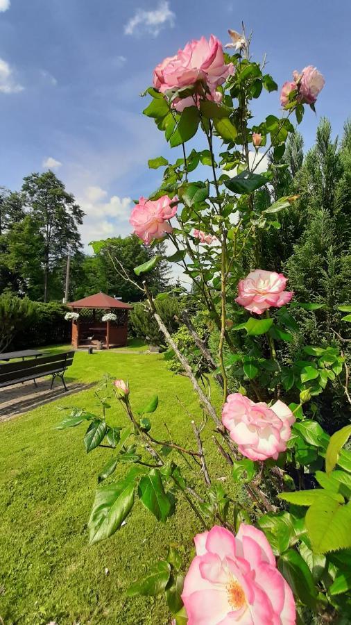Pokoje Goscinne U Zosi Karpacz Exterior foto